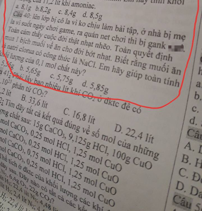 Loạt ảnh minh chứng cho câu nói: Khi bạn sinh ra là con của thần biển nhưng bố mẹ lại muốn bạn làm giáo viên