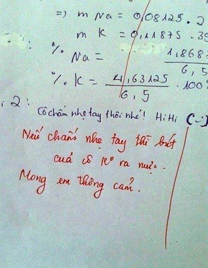 Loạt ảnh minh chứng cho câu nói: Khi bạn sinh ra là con của thần biển nhưng bố mẹ lại muốn bạn làm giáo viên