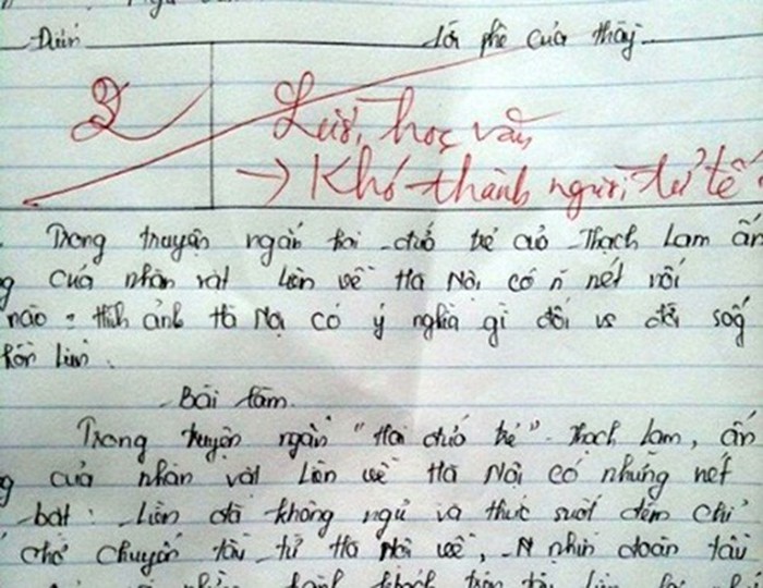 Loạt ảnh minh chứng cho câu nói: Khi bạn sinh ra là con của thần biển nhưng bố mẹ lại muốn bạn làm giáo viên