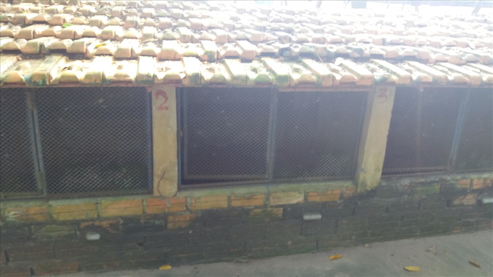 Cận cảnh thú nuôi bị coi là ngược đãi tại vườn thú Công viên nước Củ Chi