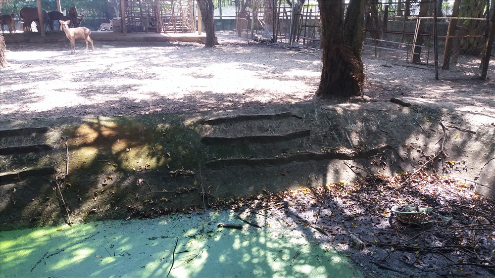 Cận cảnh thú nuôi bị coi là ngược đãi tại vườn thú Công viên nước Củ Chi