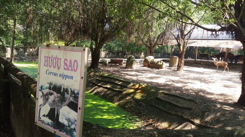 Cận cảnh thú nuôi bị coi là ngược đãi tại vườn thú Công viên nước Củ Chi
