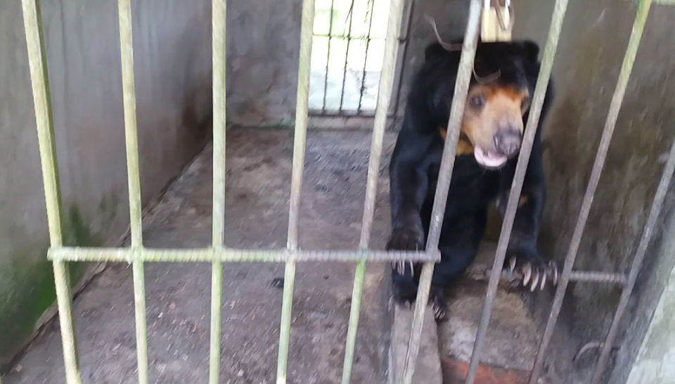 Cận cảnh thú nuôi bị coi là ngược đãi tại vườn thú Công viên nước Củ Chi