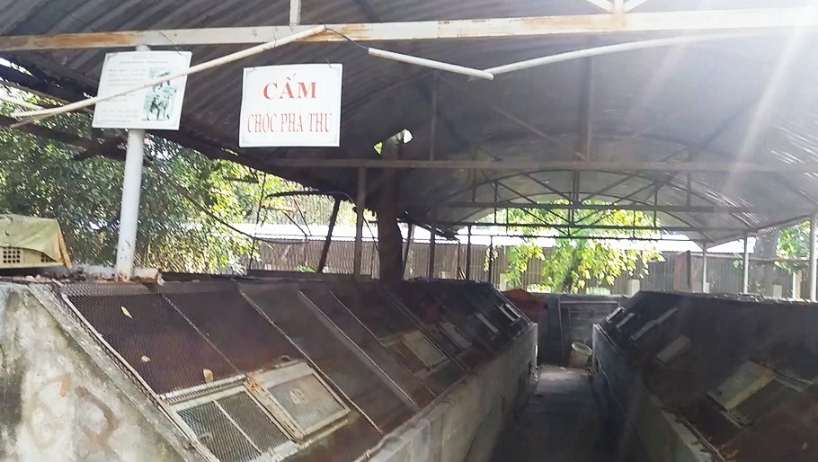 Cận cảnh thú nuôi bị coi là ngược đãi tại vườn thú Công viên nước Củ Chi