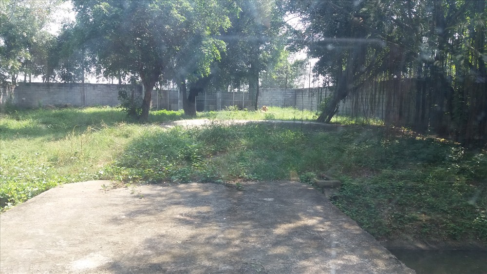 Cận cảnh thú nuôi bị coi là ngược đãi tại vườn thú Công viên nước Củ Chi