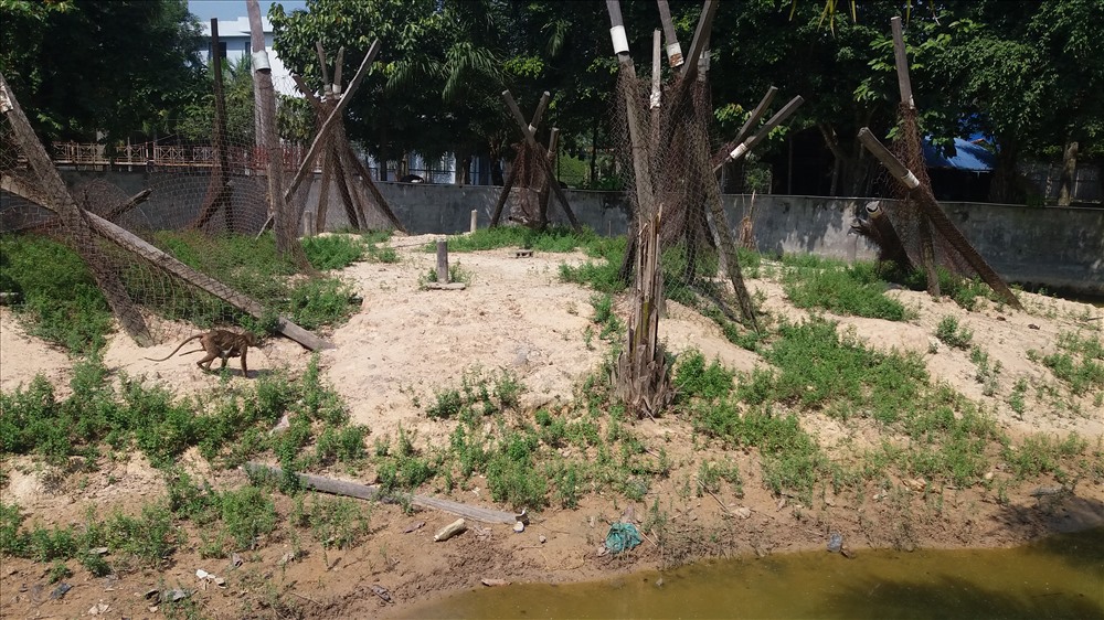 Cận cảnh thú nuôi bị coi là ngược đãi tại vườn thú Công viên nước Củ Chi