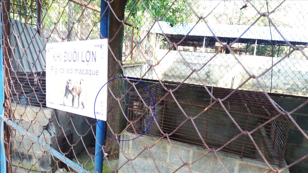 Cận cảnh thú nuôi bị coi là ngược đãi tại vườn thú Công viên nước Củ Chi