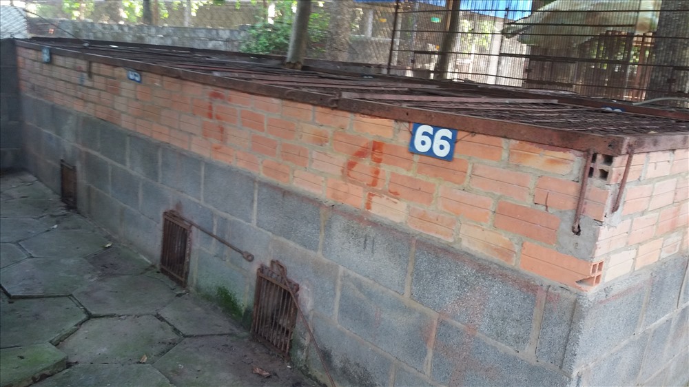 Cận cảnh thú nuôi bị coi là ngược đãi tại vườn thú Công viên nước Củ Chi