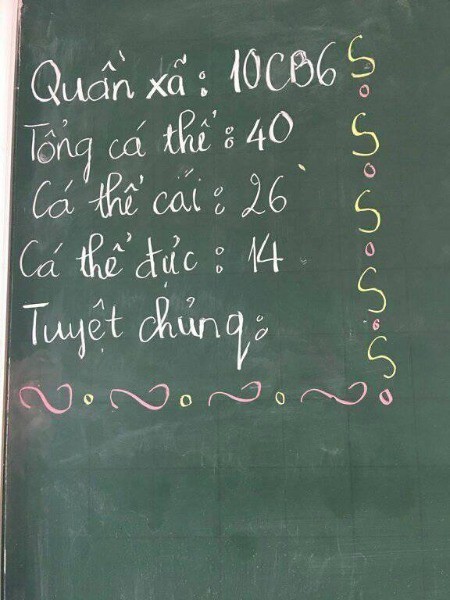 3 trào lưu đang làm mưa làm gió trong giới học trò, bạn và lớp bạn thử chưa?
