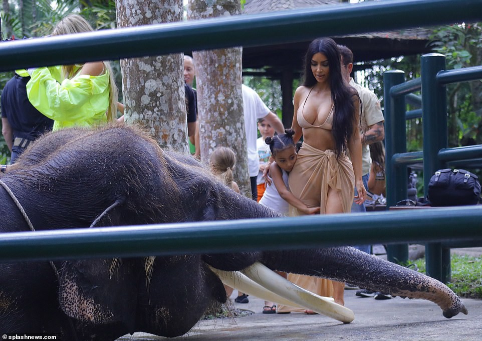 Có cô Kim ở Bản Đôn, đi cưỡi voi cũng phải thật ngon