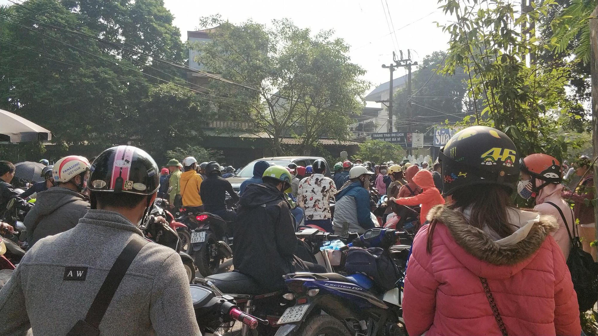 Dân phượt kéo đến ngắm hoa dã quỳ, đường lên Ba Vì thất thủ ngày cuối tuần