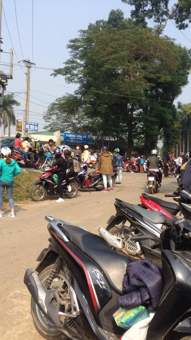 Dân phượt kéo đến ngắm hoa dã quỳ, đường lên Ba Vì thất thủ ngày cuối tuần