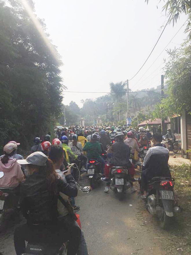 Dân phượt kéo đến ngắm hoa dã quỳ, đường lên Ba Vì thất thủ ngày cuối tuần