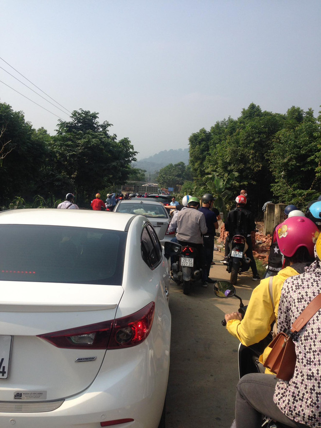 Dân phượt kéo đến ngắm hoa dã quỳ, đường lên Ba Vì thất thủ ngày cuối tuần