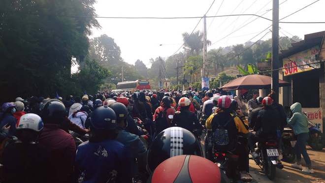 Dân phượt kéo đến ngắm hoa dã quỳ, đường lên Ba Vì thất thủ ngày cuối tuần