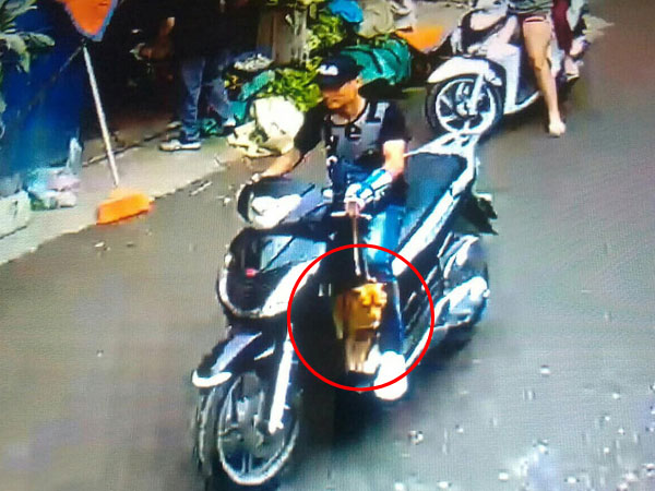 Hà Nội: Thanh niên bảnh bao đi xe SH bế trộm chó nhà hàng xóm