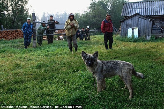 Âm thầm đi theo bố vào rừng rồi bị lạc, bé gái 4 tuổi sống sót trở về sau 12 ngày nhờ chú chó trung thành sưởi ấm mỗi đêm