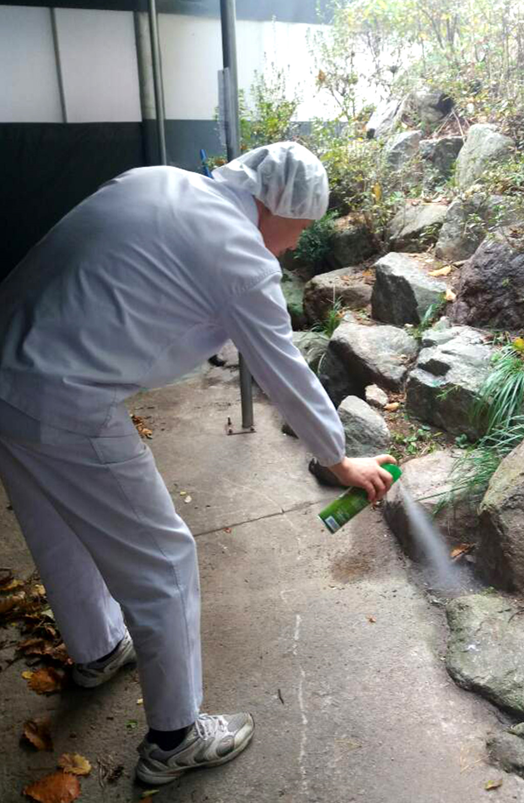 Văn hóa làm việc đến chết - kẻ giết người thầm lặng tại Hàn Quốc