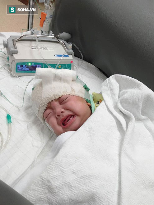 Em xin quỳ xuống đây, cầu xin mọi người cứu con trai em