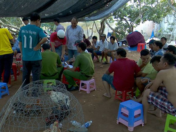 Bắt 25 đối tượng tại tụ điểm đá gà quy mô lớn, thu gần 1 tỷ đồng