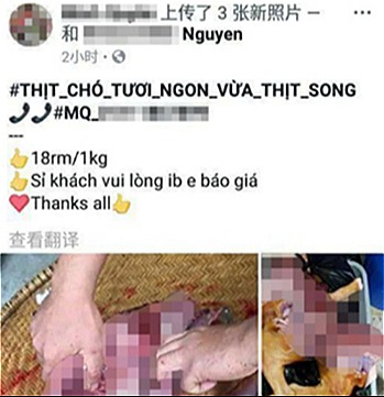 Nhiều người Việt ra nước ngoài bị ghét vì hành xử phản cảm