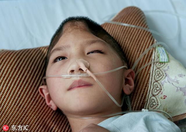 Nhận được điện thoại từ chồng cũ, người mẹ chạy đến bệnh viện và gục ngã khi biết con trai bị bạo hành đến thân tàn ma dại