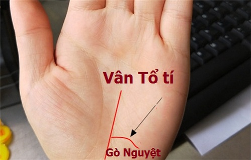 Người sở hữu đường vân tay này có số hưởng, phú quý suốt đời