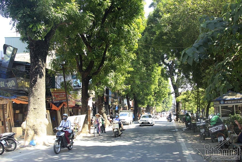 Tuyến đường đắt nhất hành tinh, hàng nghìn người rục rịch chuyển nhà