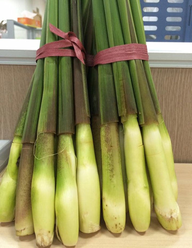 Mỗi năm chỉ 1 mùa, ngày bán 2.000 củ, lãi đủ 100 triệu/tháng