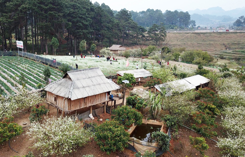 Miền Bắc đón gió mùa đông bắc