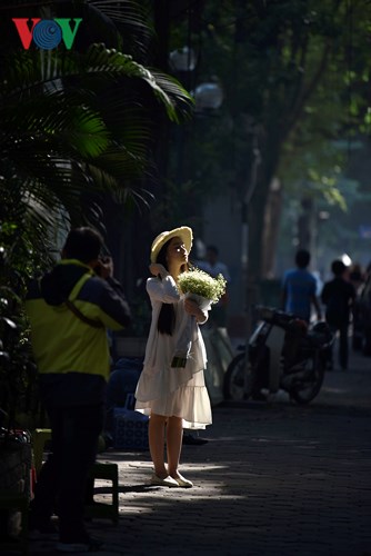 Những hình ảnh bình dị, thân thương trên phố phường Hà Nội