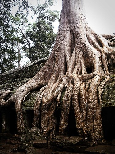 Những bức ảnh ấn tượng về sức mạnh của thiên nhiên