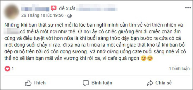 Khách Tây bùng tiền phòng ở Sapa vì nhiều muỗi và chó sủa: Người đàng hoàng sẽ không bỏ đi như vậy!