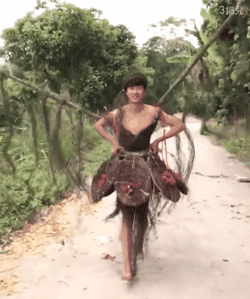 Clip thiên thần thôn quê sải bước trong show Victorias Secret cây nhà lá vườn Clip thiên thần thôn quê sải bước trong show Victorias Secret cây nhà lá vườn