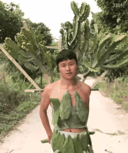 Clip thiên thần thôn quê sải bước trong show Victorias Secret cây nhà lá vườn Clip thiên thần thôn quê sải bước trong show Victorias Secret cây nhà lá vườn