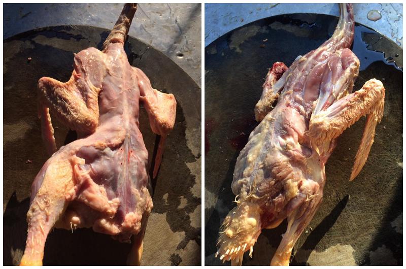 Con dâu cứ nấu ăn thế này sớm muộn cũng được mẹ chồng dắt tay ra khỏi nhà