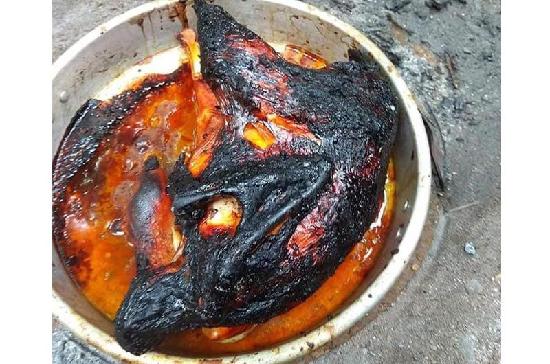 Con dâu cứ nấu ăn thế này sớm muộn cũng được mẹ chồng dắt tay ra khỏi nhà