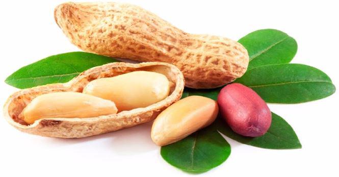 Loại củ rẻ tiền là thần dược chống ung thư, tăng hưng phấn phòng the nhiều người không biết Loại củ rẻ tiền là thần dược chống ung thư, tăng hưng phấn phòng the nhiều người không biết