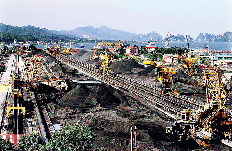 Ông lớn ngành than và những đứa con thua lỗ trước ngày về Siêu ủy ban quản lý 2,3 triệu tỷ