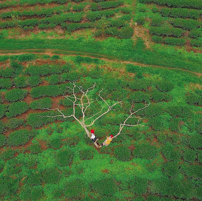 Cặp đôi giấu mặt, đội mũ bảo hiểm đỏ đang hot trên Instagram: Lên Đà Lạt vì thất tình ai ngờ gặp ngay chân ái!
