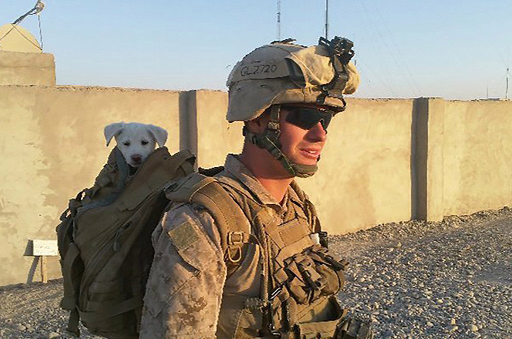 Nghi phạm xả súng ở Mỹ và bóng ma dư âm chiến tranh