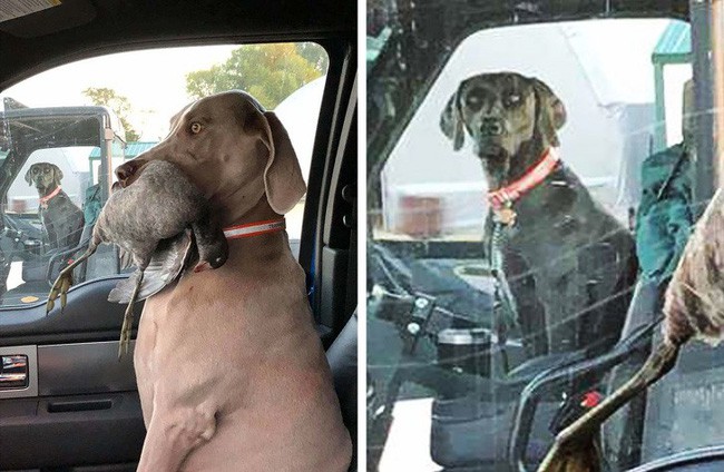 Hết hồn với bí mật đằng sau những bức ảnh hình thường