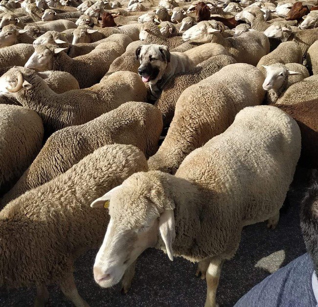 Hết hồn với bí mật đằng sau những bức ảnh hình thường