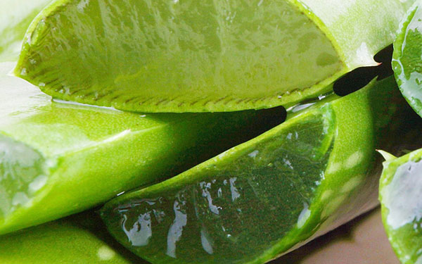 7 công thức với nguyên liệu tự nhiên vừa lành tính lại rẻ như cho giúp chị em sở hữu làn da trắng mịn