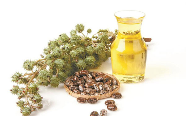 7 công thức với nguyên liệu tự nhiên vừa lành tính lại rẻ như cho giúp chị em sở hữu làn da trắng mịn