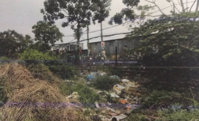 Công an kêu gọi tìm kiếm nhân chứng vụ thi thể trẻ sơ sinh bị heo rừng tha đi ở Sài Gòn