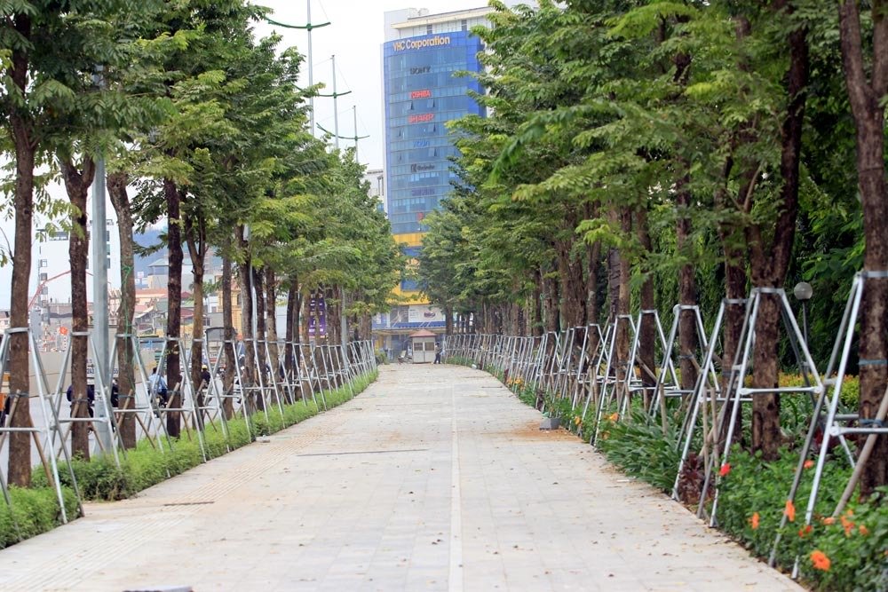 Video ảnh Hà Nội: Đường nghìn tỷ khác lạ sau 1 năm khai tử hàng cổ thụ