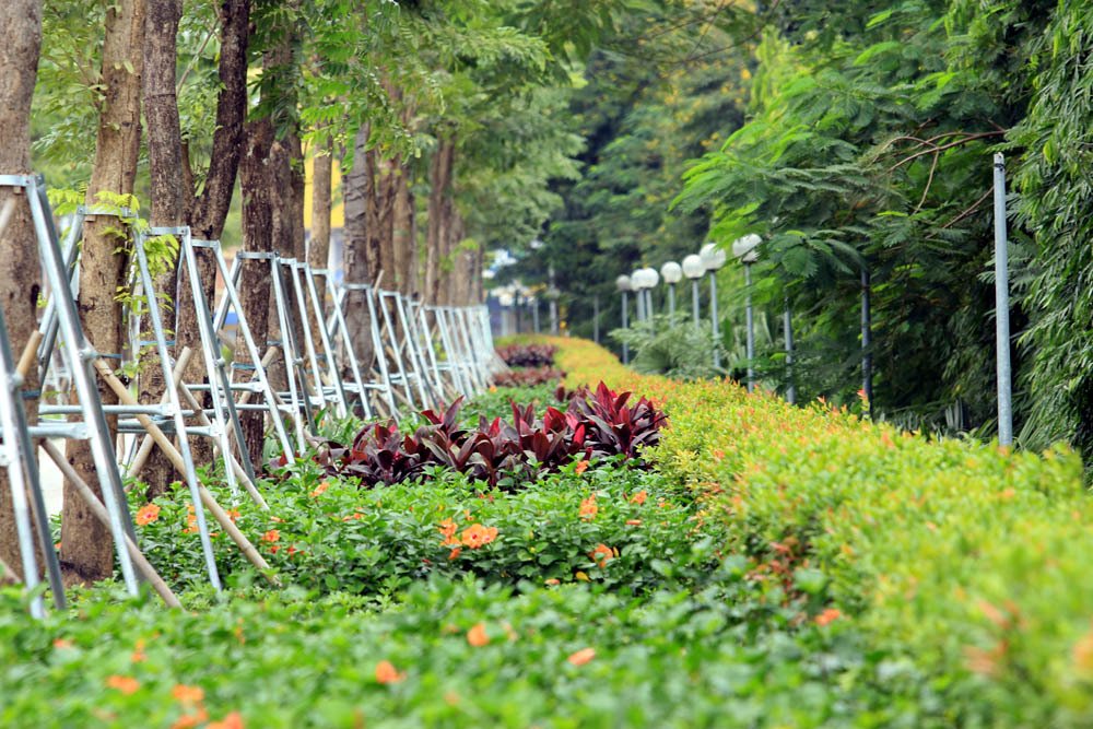 Video ảnh Hà Nội: Đường nghìn tỷ khác lạ sau 1 năm khai tử hàng cổ thụ