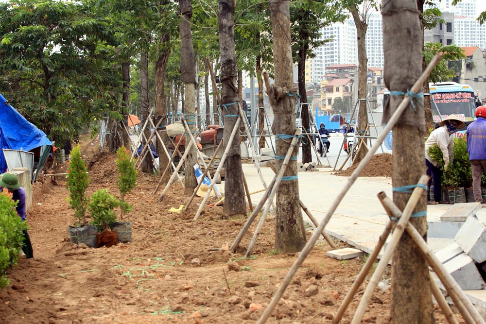 Video ảnh Hà Nội: Đường nghìn tỷ khác lạ sau 1 năm khai tử hàng cổ thụ