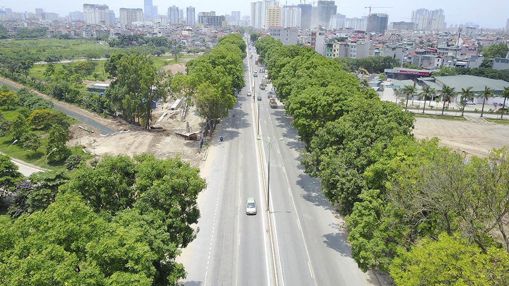 Video ảnh Hà Nội: Đường nghìn tỷ khác lạ sau 1 năm khai tử hàng cổ thụ